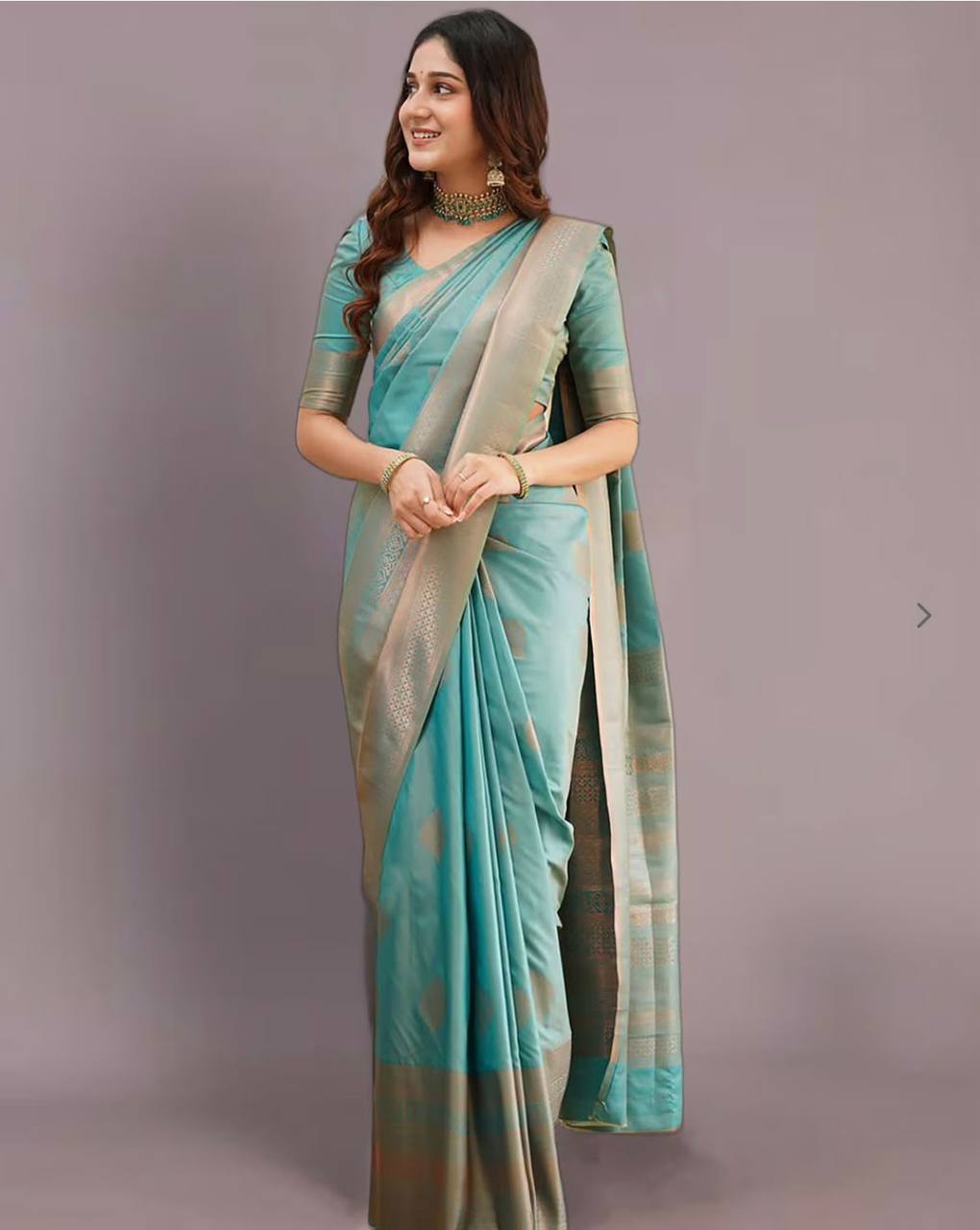 elegant lichi silk saree with zari border | traditional indian saree for festive & wedding wear
