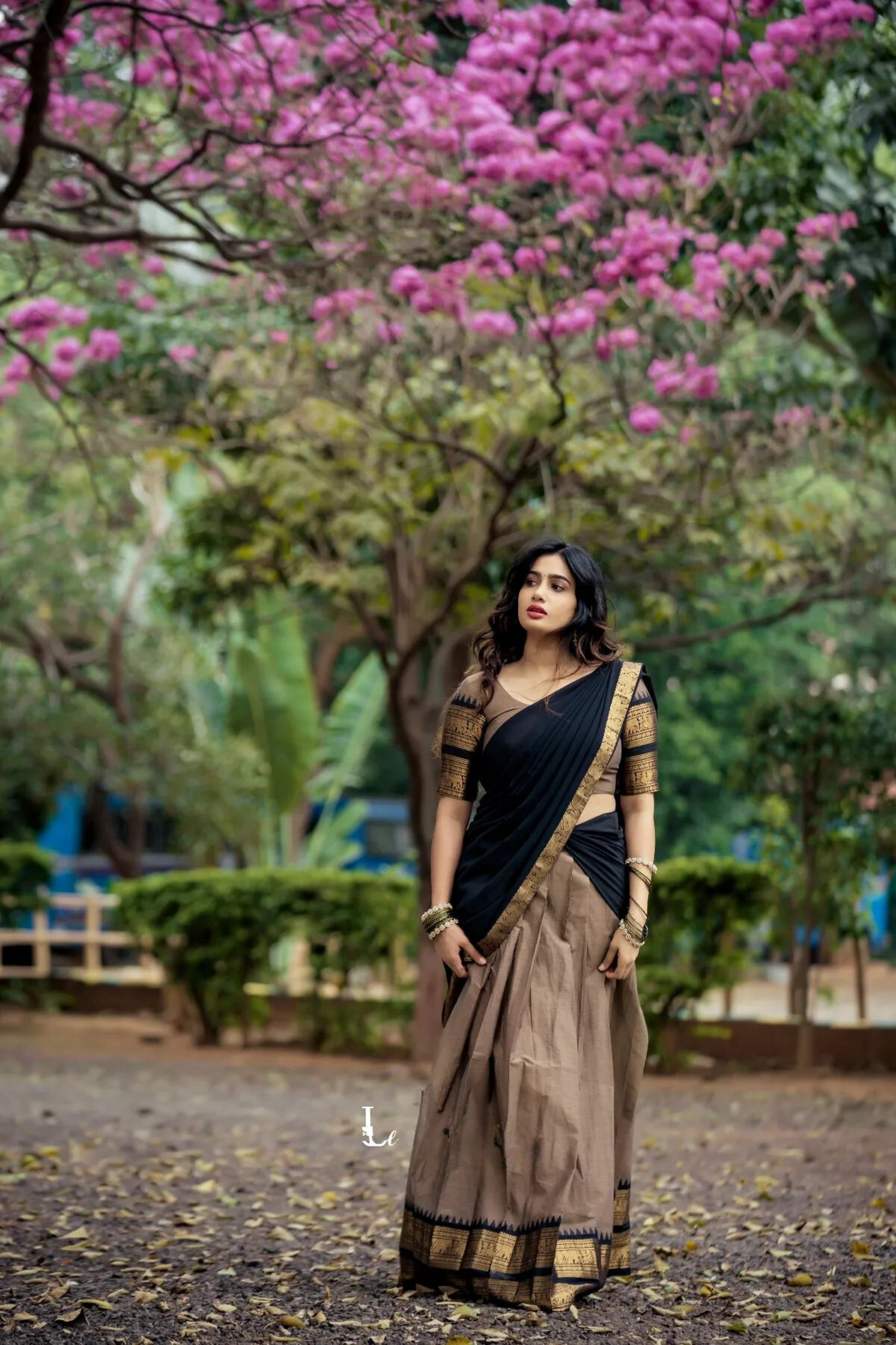 dusty cream and dark black classical kanjivaram jacquard half saree